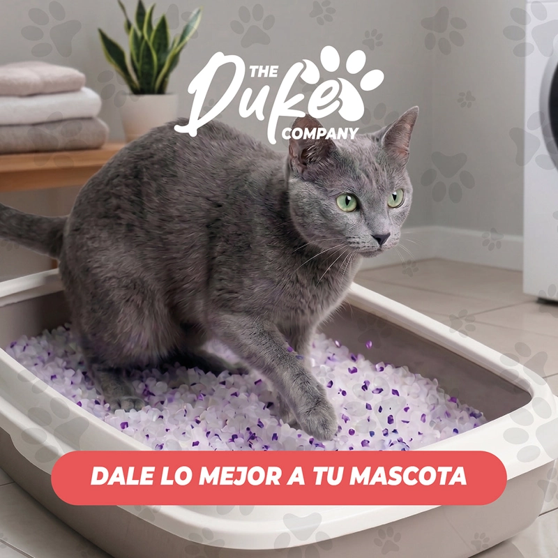 ARENA GATO CRISTAL DUKE SANITARIA 1.6KG PACK 2 AROMA LAVANDA SILICE ABSORBENTE ANTIOLOR - 10