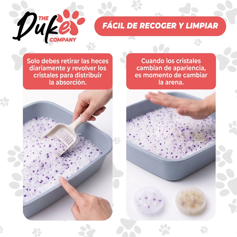ARENA GATO CRISTAL DUKE SANITARIA 1.6KG PACK 2 AROMA LAVANDA SILICE ABSORBENTE ANTIOLOR - 7