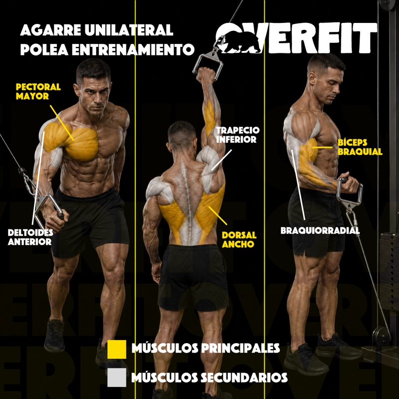 AGARRE UNILATERAL ENGOMADO PRO OVERFIT ENTRENAMIENTO POLEA - 7