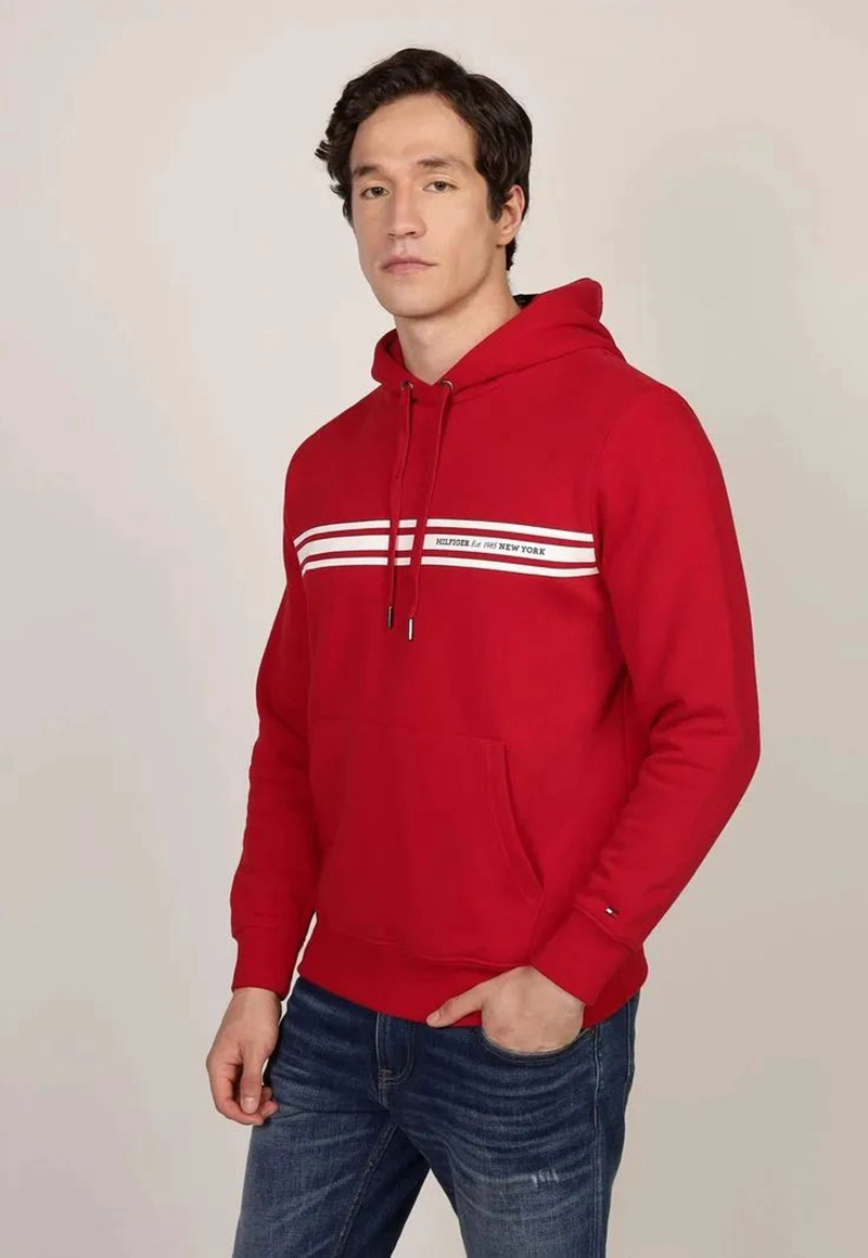 POLERON HOODIE CON LOGO A RAYAS - 1