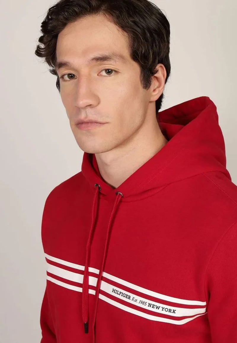 POLERON HOODIE CON LOGO A RAYAS - 4