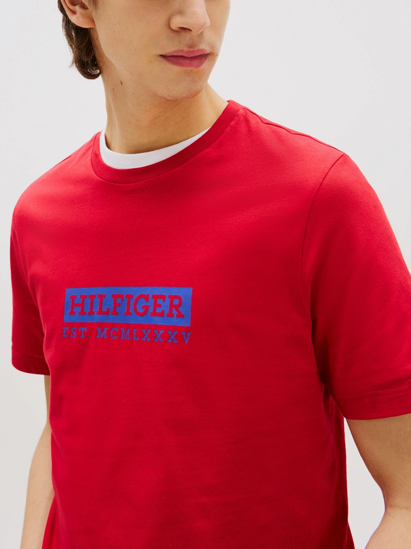 POLERA COLOUR TO COLOUR REGULAR FIT - 4