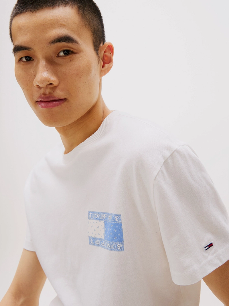 POLERA PAISLEY FLAG LOGO REGULAR FIT - 4