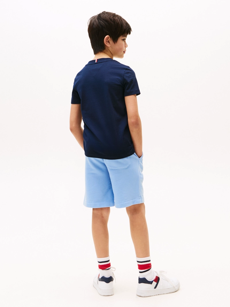 POLERA SCRIPT FLAG LOGO - 3