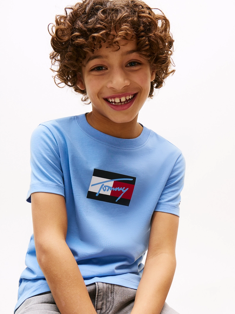 POLERA SCRIPT FLAG LOGO - 4