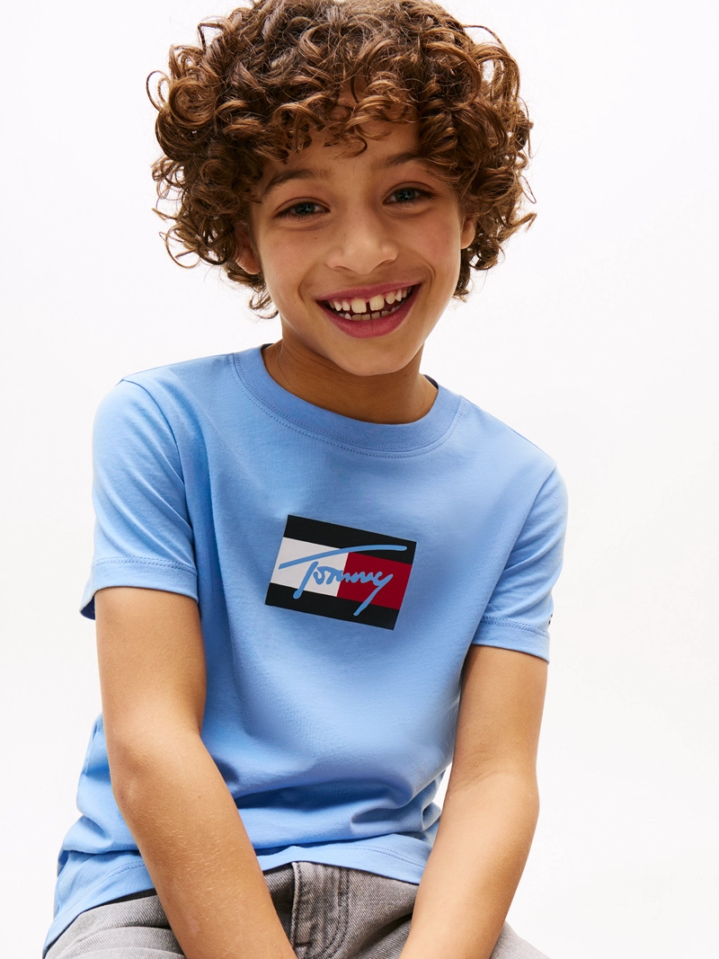 POLERA SCRIPT FLAG LOGO - 4