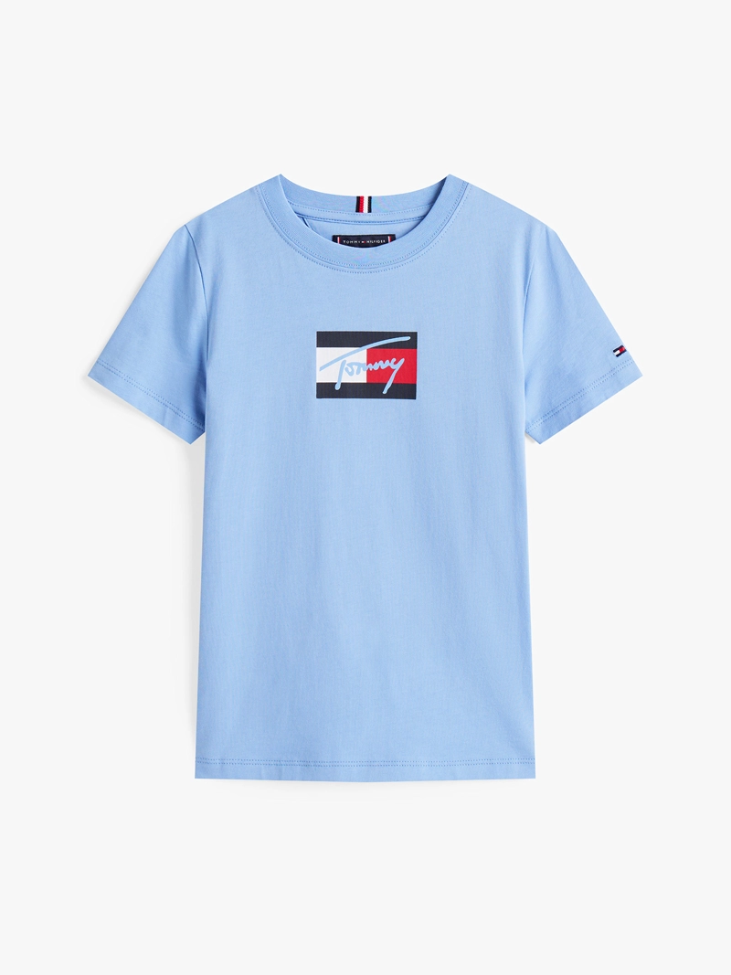 POLERA SCRIPT FLAG LOGO - 5