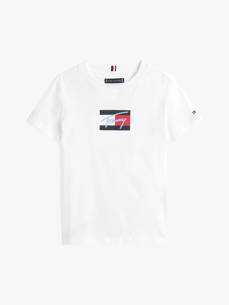 POLERA SCRIPT FLAG LOGO - 5