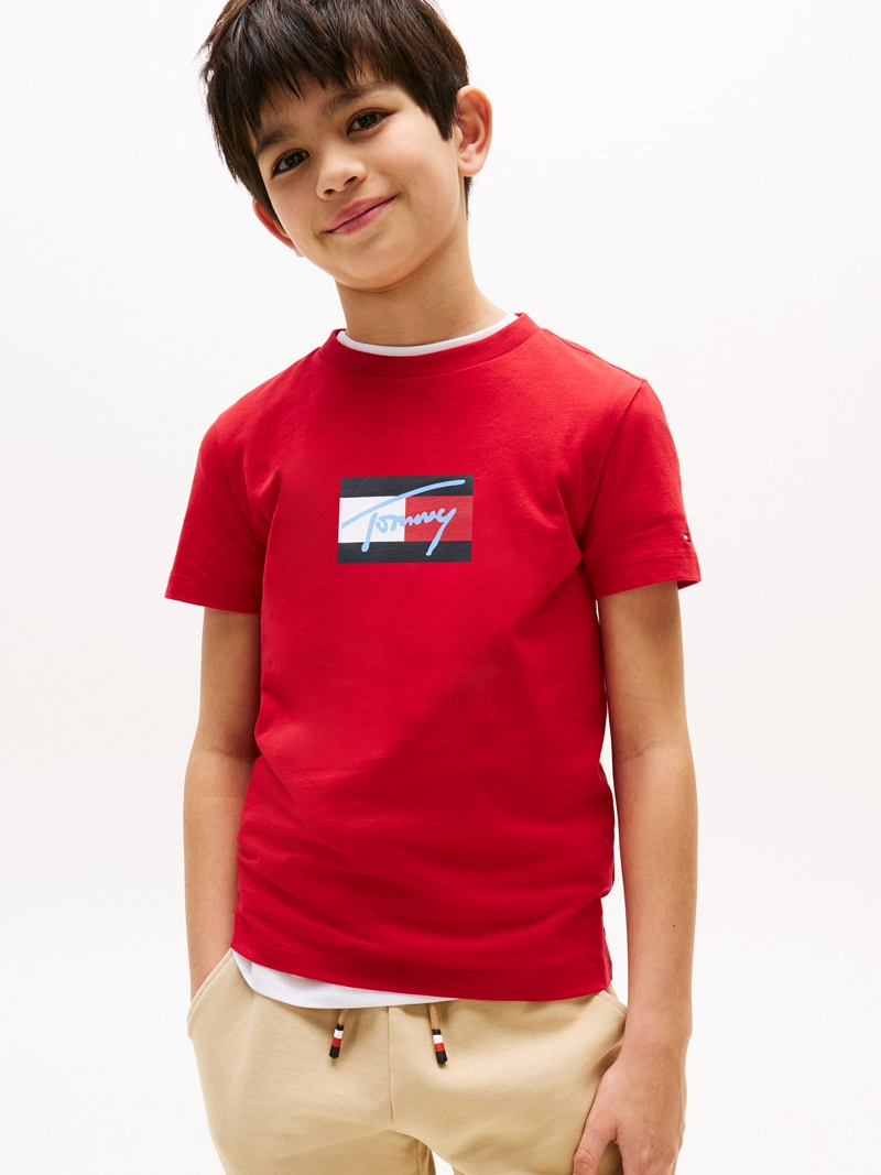 POLERA SCRIPT FLAG LOGO - 1