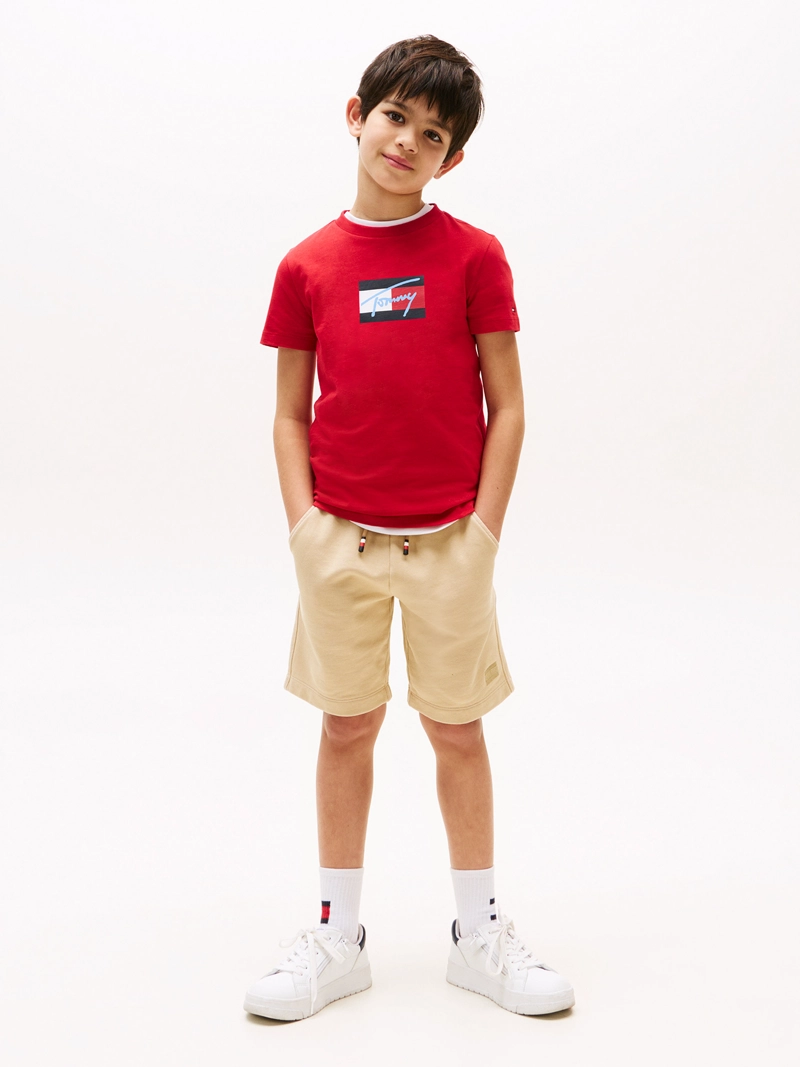 POLERA SCRIPT FLAG LOGO - 2