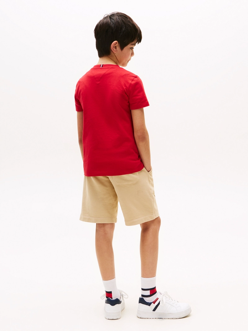 POLERA SCRIPT FLAG LOGO - 3