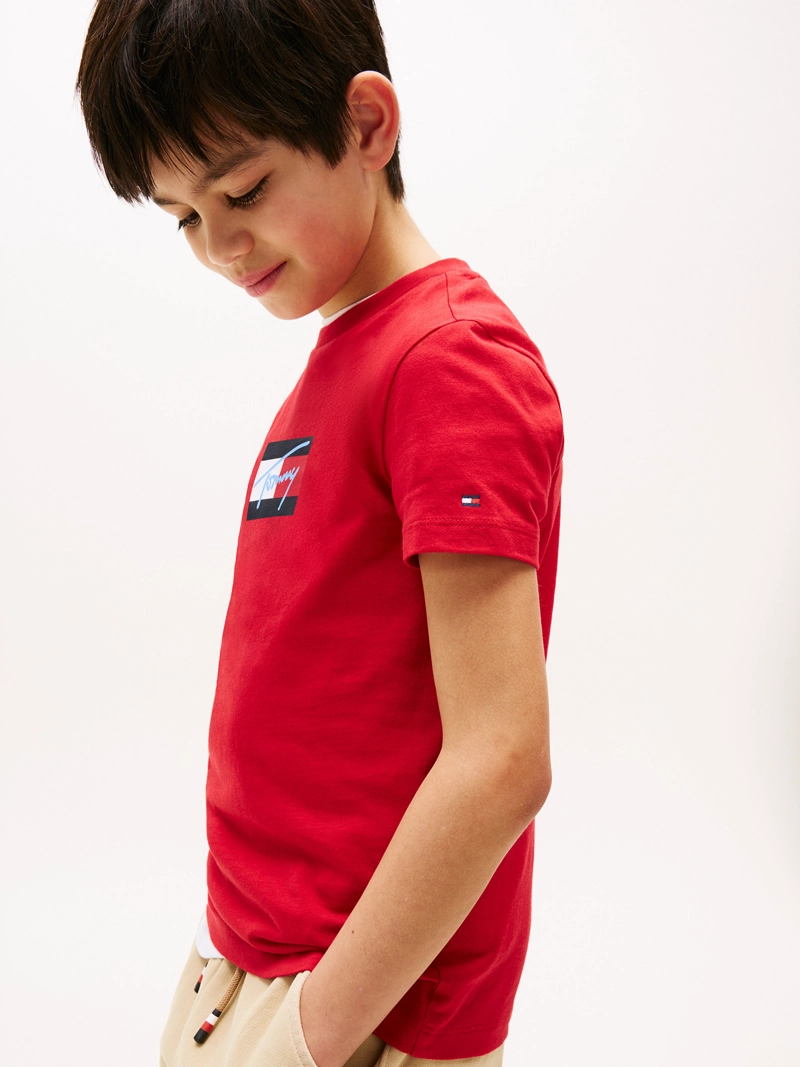 POLERA SCRIPT FLAG LOGO - 4
