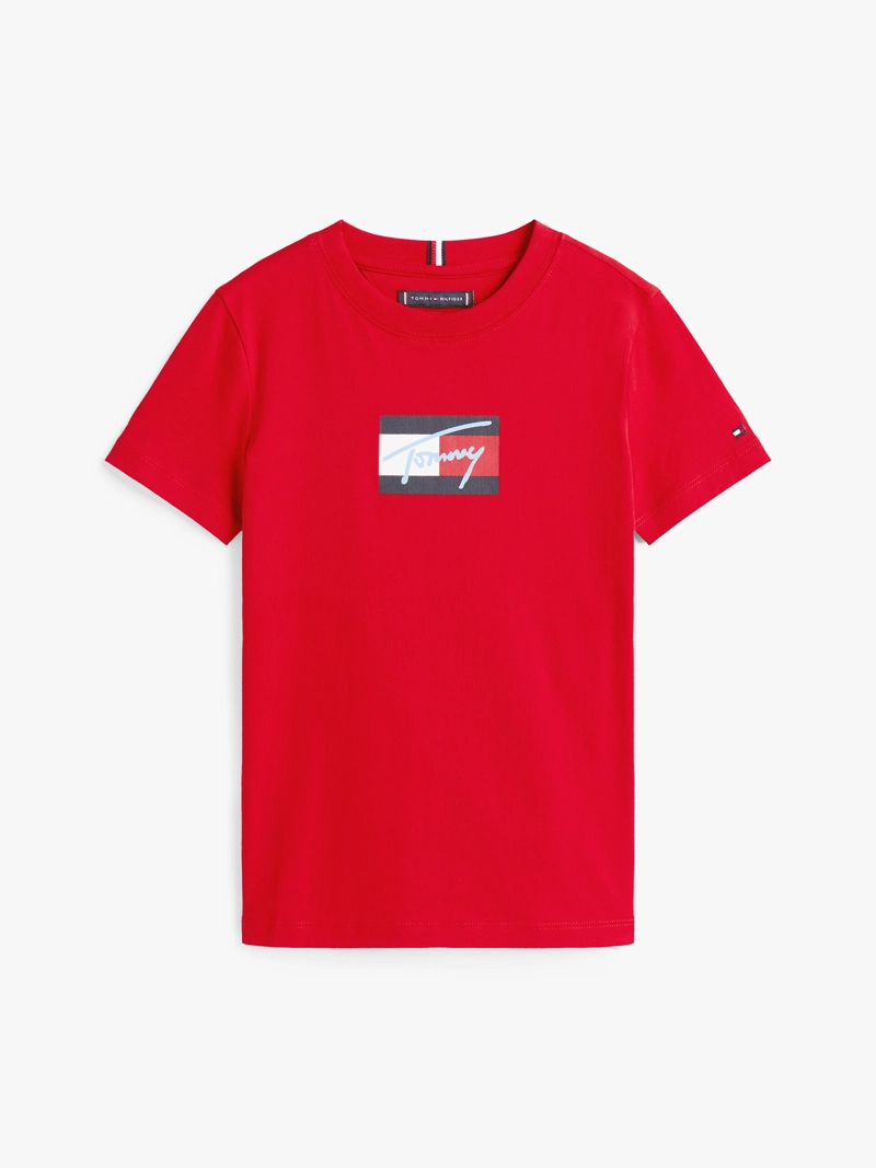 POLERA SCRIPT FLAG LOGO - 5