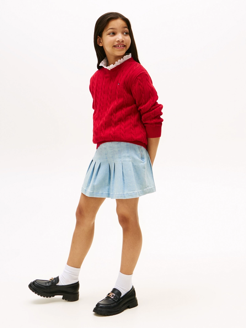 FALDA DENIM PLISADA - 1