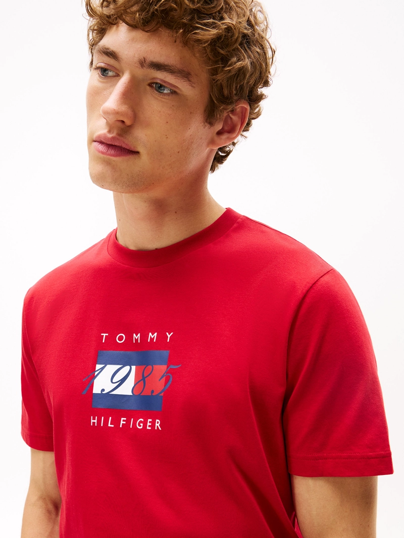 POLERA CON LOGO FLAG REGULAR FIT - 4