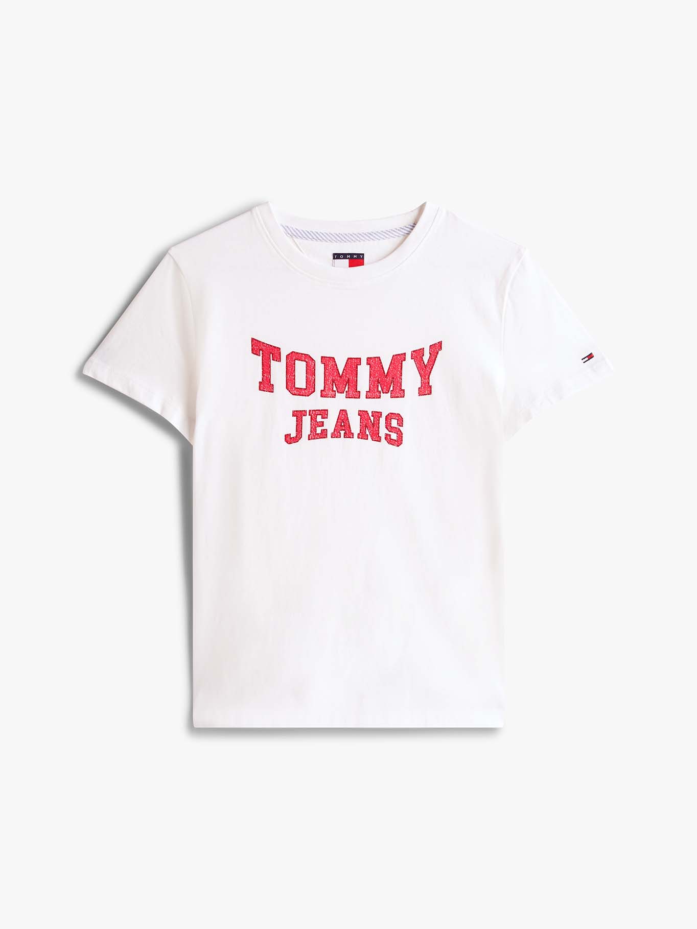 POLERA LOGO VARSITY REGULAR FIT - 5
