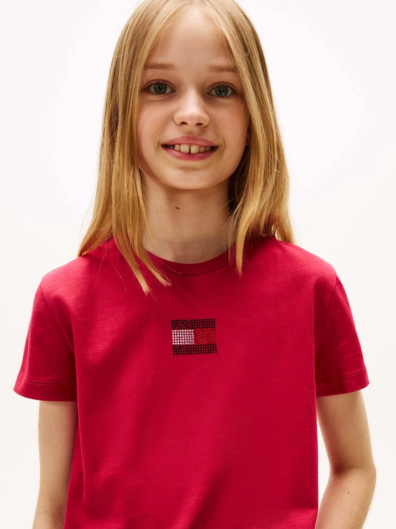 POLERA STONE FLAG LOGO - 4