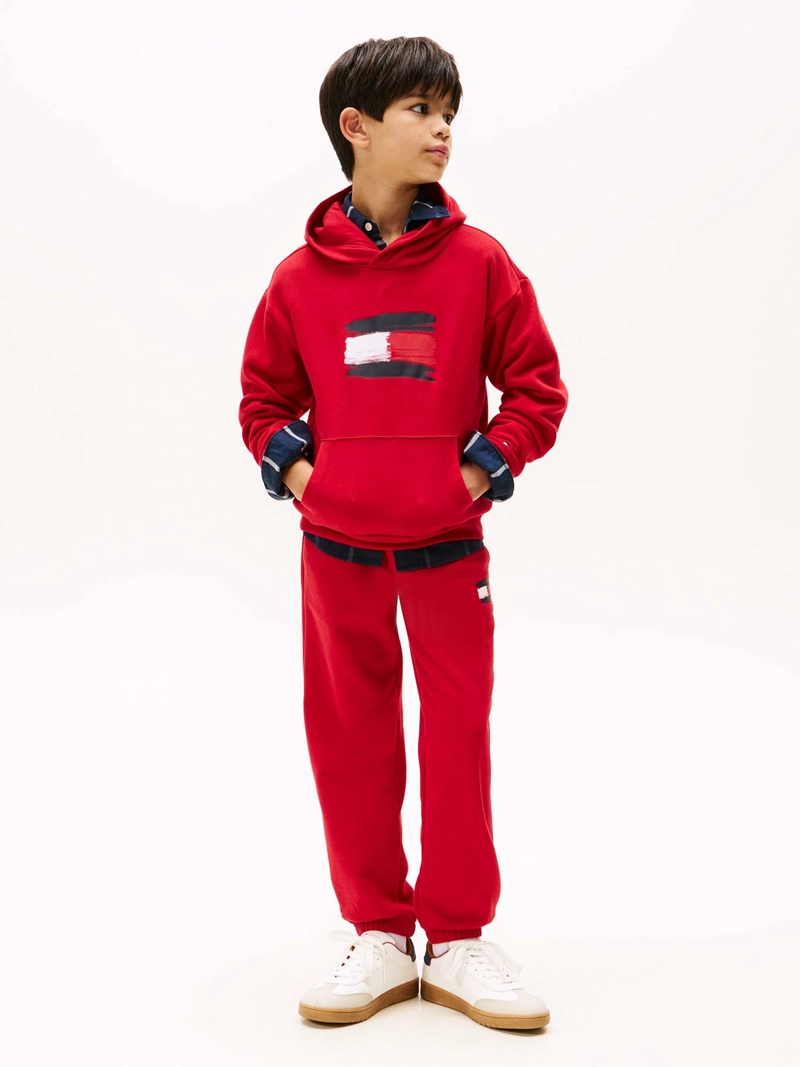 POLERON HOODIE FLAG LOGO - 2