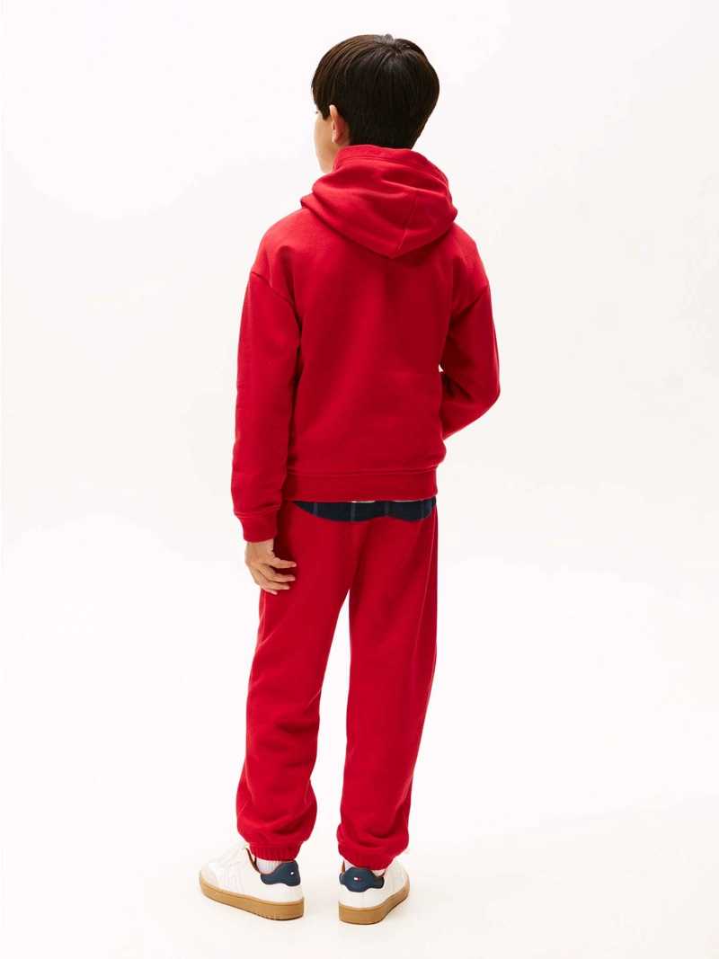 POLERON HOODIE FLAG LOGO - 3