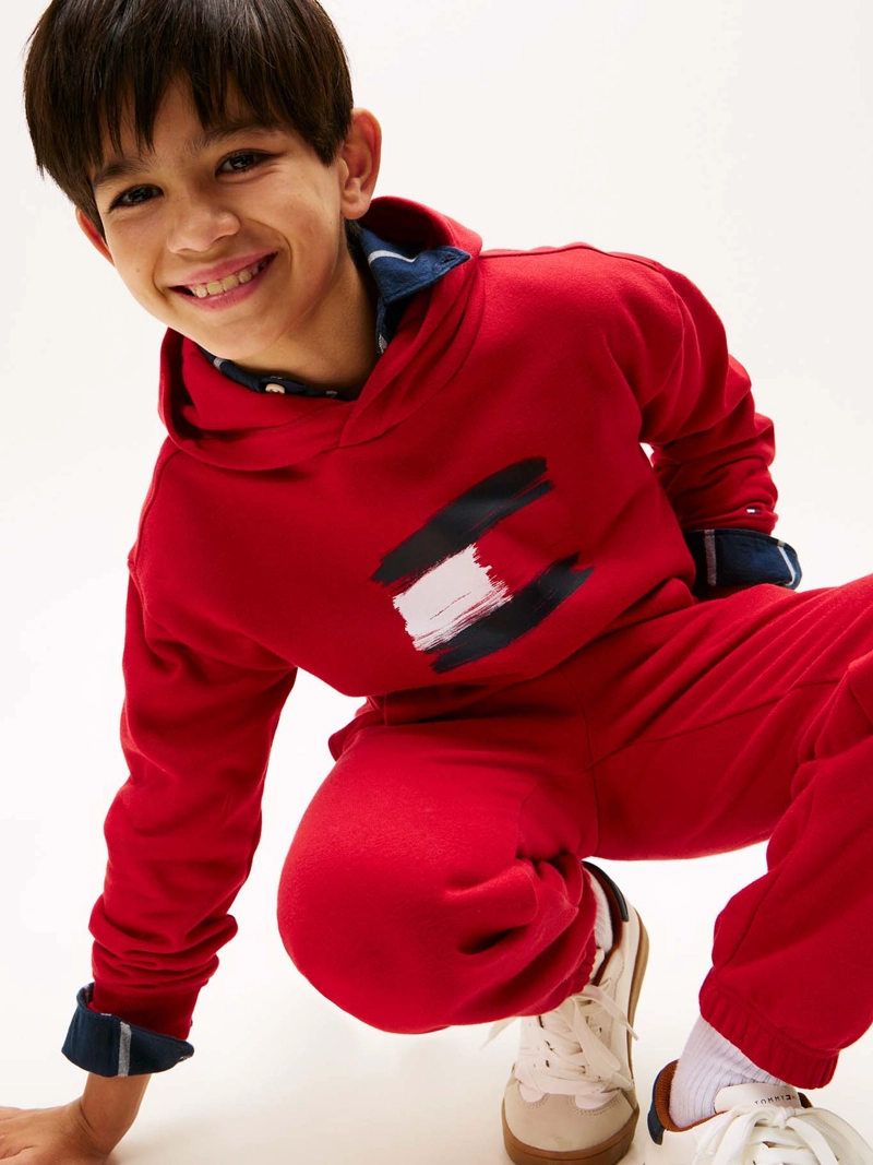 POLERON HOODIE FLAG LOGO - 4