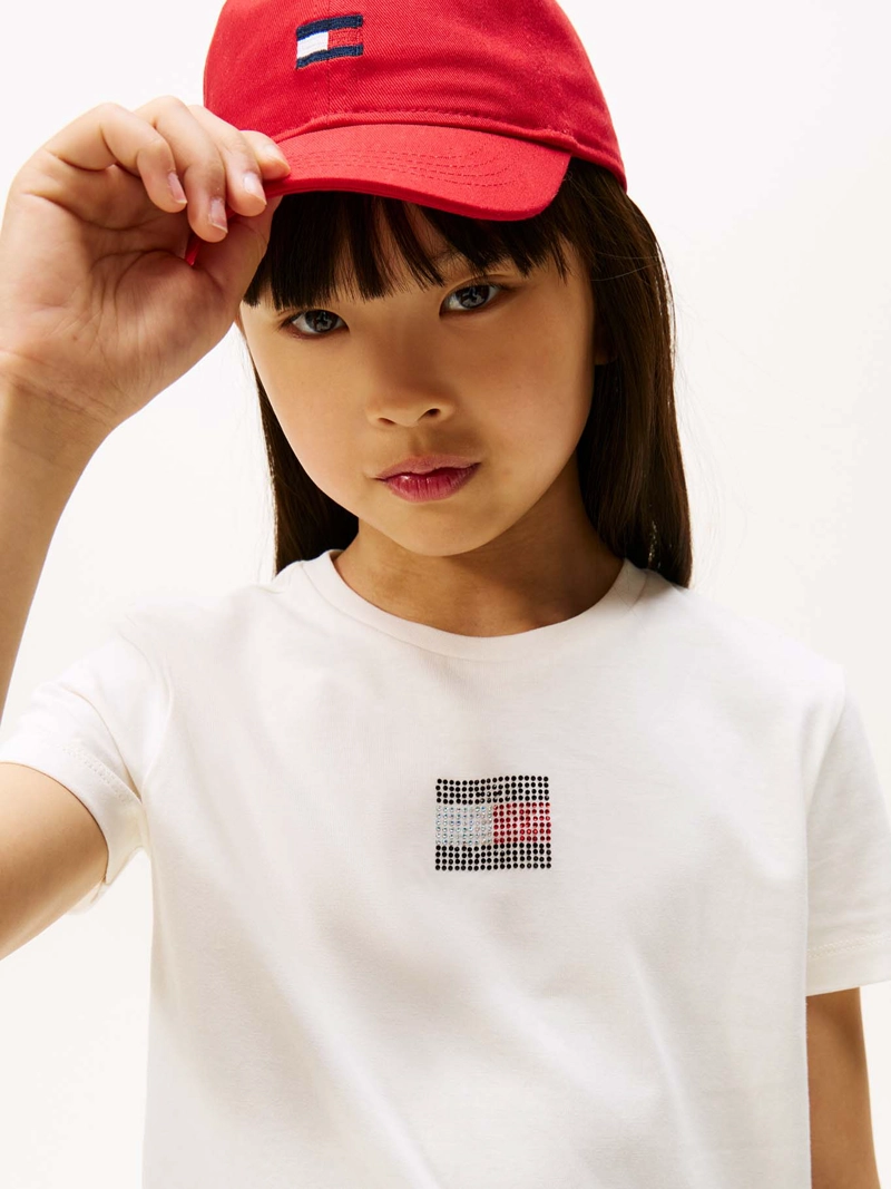 POLERA STONE FLAG LOGO - 4