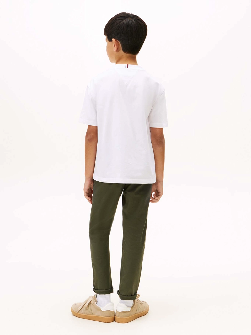 POLERA FLAG ARCHIVE LOGO - 3
