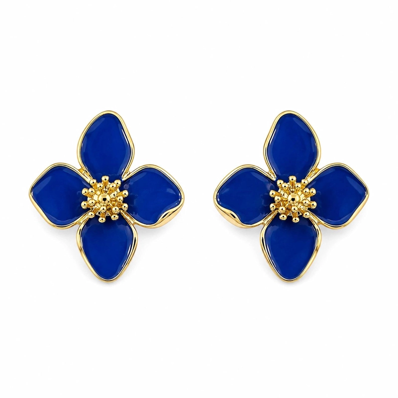 AROS LIA AZUL MARIA PASKARO - 2