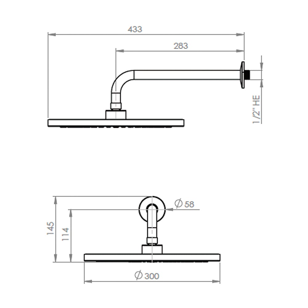 PLATO DUCHA 30 CM CON BRAZO 30 CM NIQUEL - 2