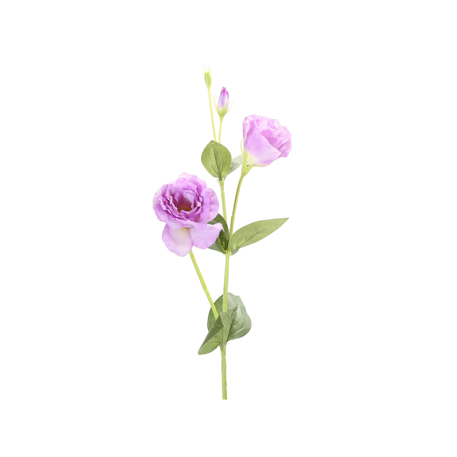 VARA LISIANTHUS PURPURA 82 CM - 1