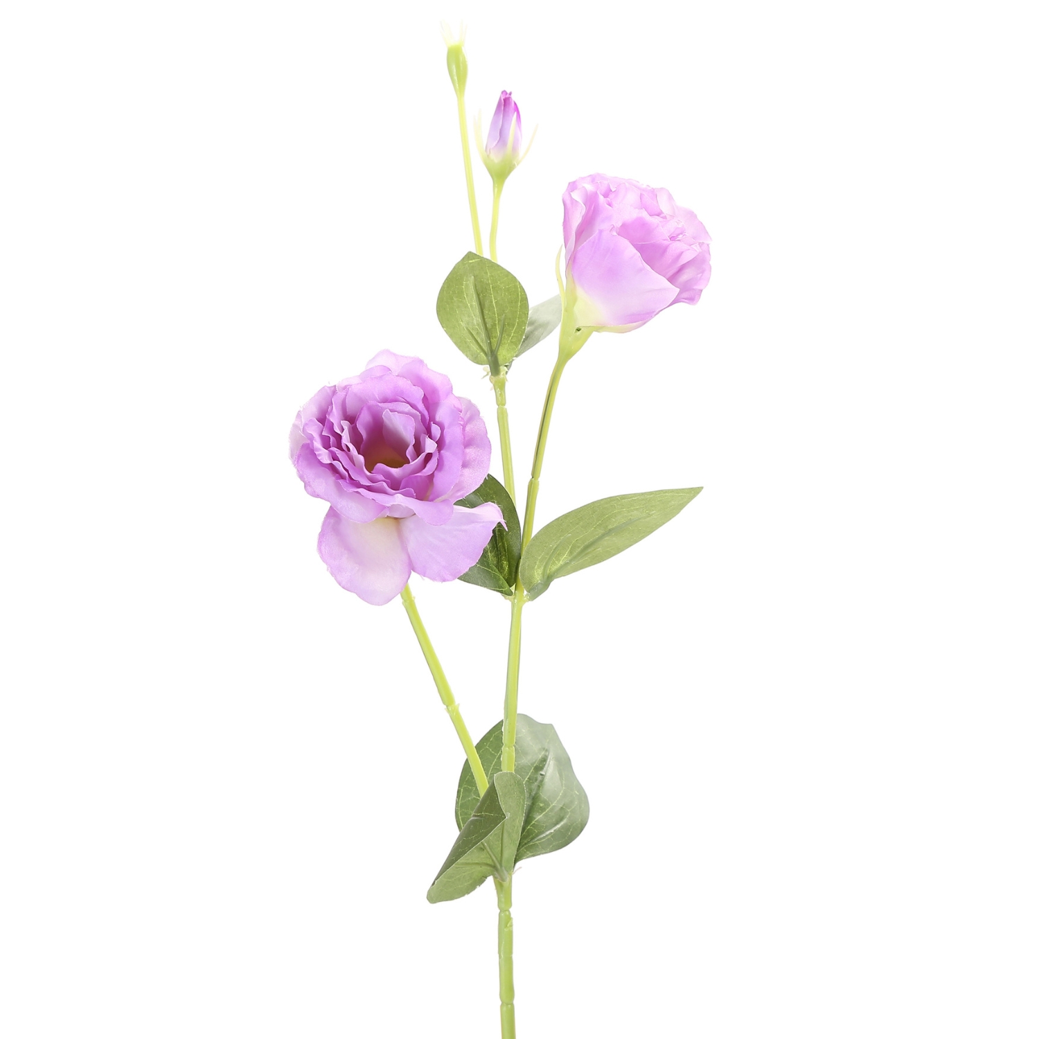 VARA LISIANTHUS PURPURA 82 CM - 2