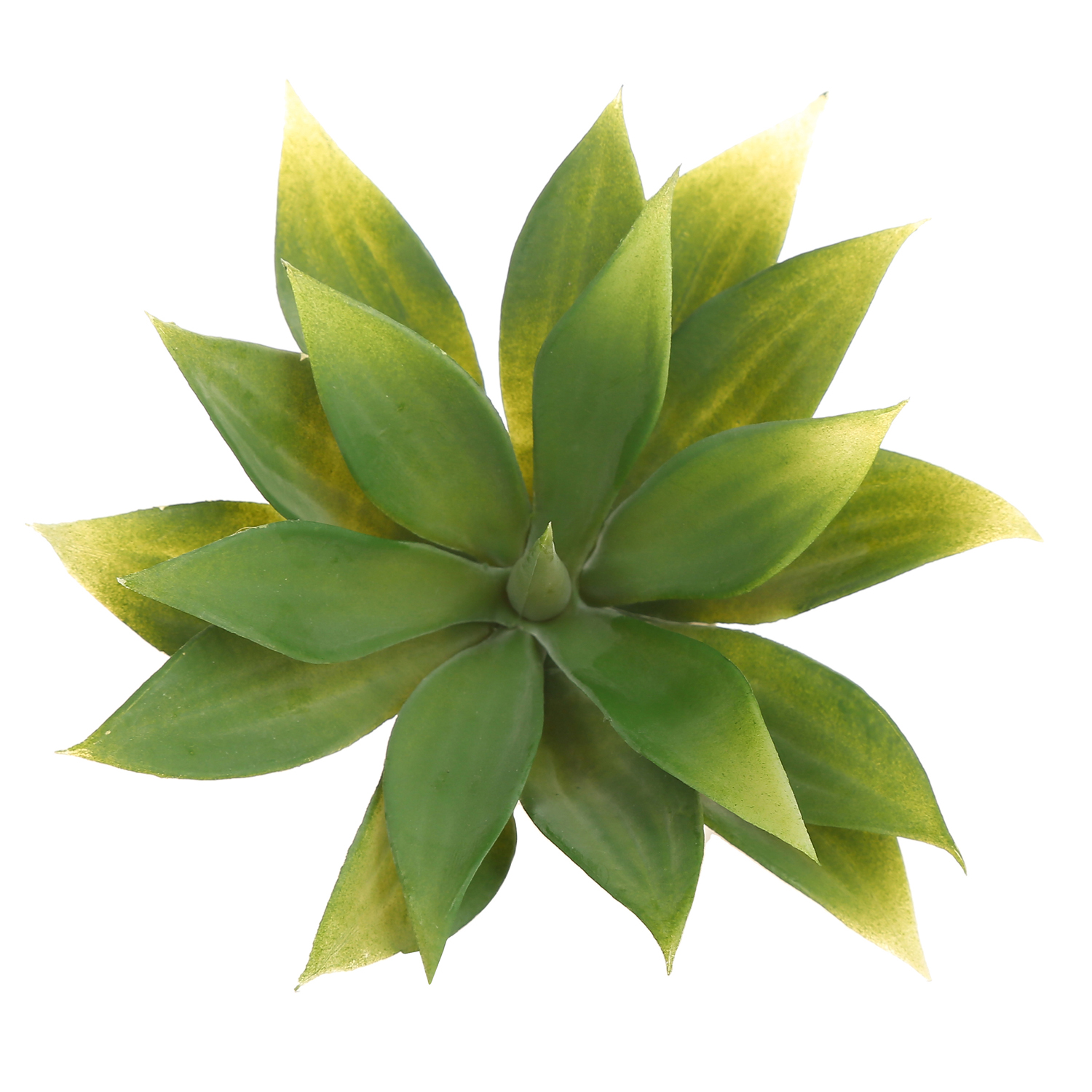 SUCULENTA ARTIFICIAL - 1