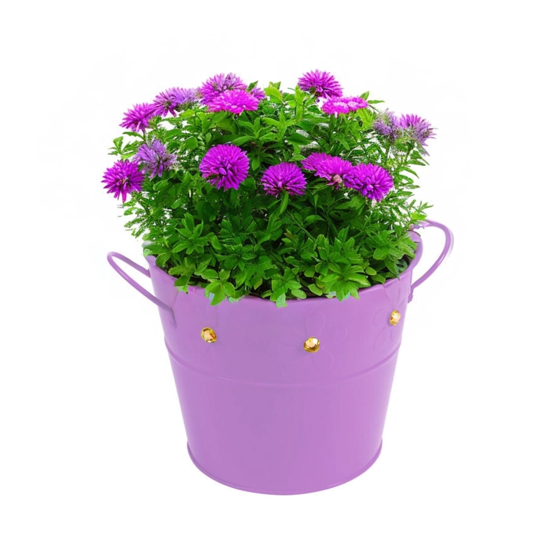 BALDE DE LATON LILA CON GEMAS - 2