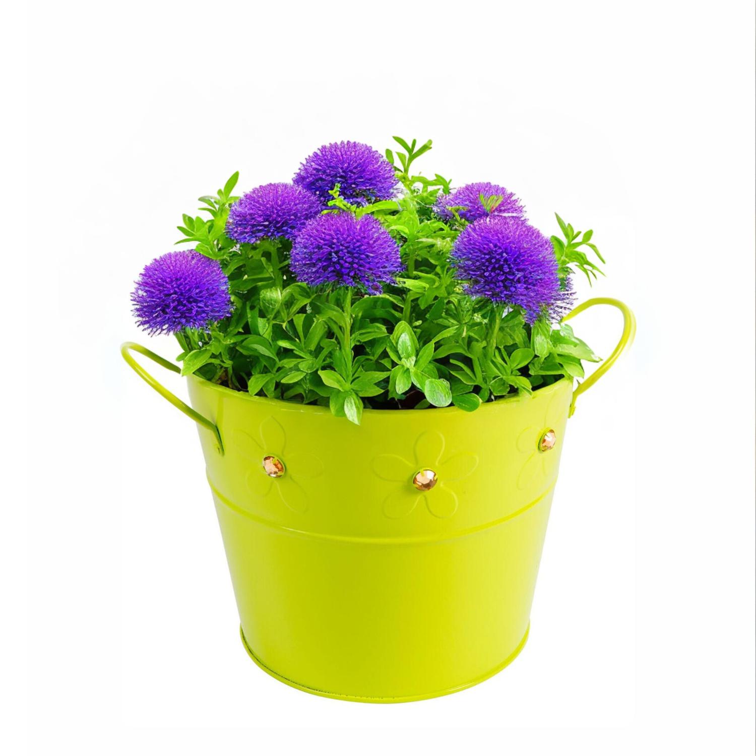 BALDE DE LATON VERDE CON GEMAS - 2