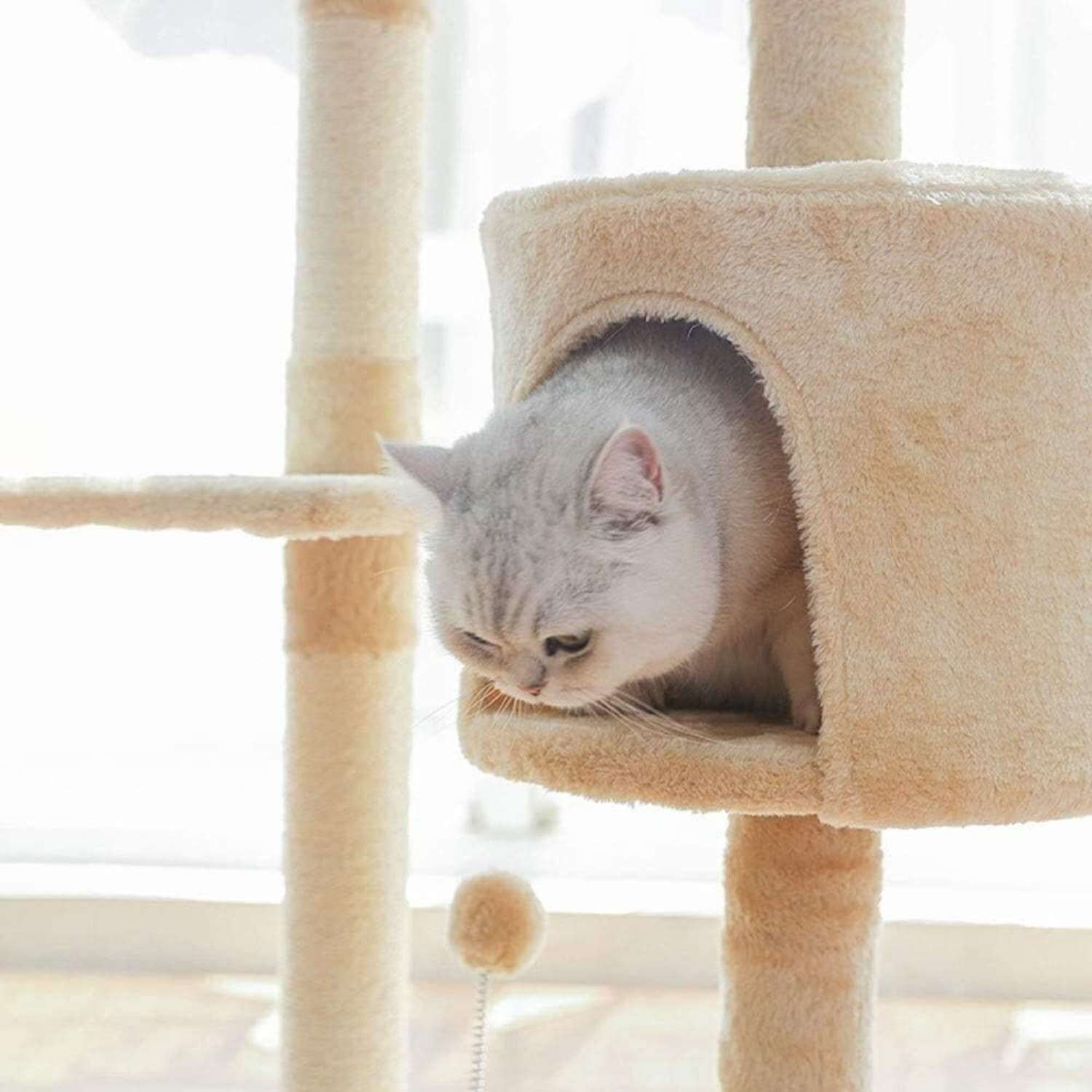 RASCADOR GATO IMPORTADORA USA 1,15 METROS ALTURA BEIGE - 5