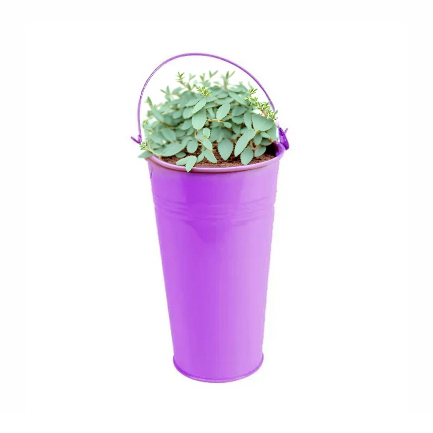 BALDE METALICO LILA 13X20CM - 2