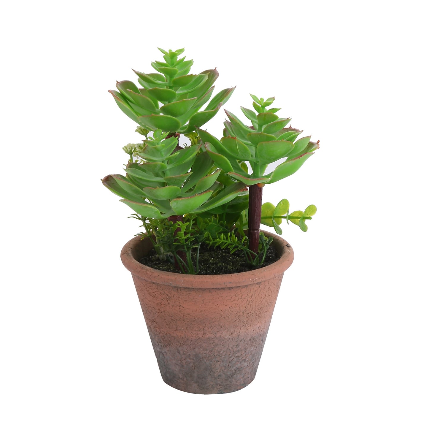 PLANTA ARTIFICIAL SUCULENTA 20 CM - 1
