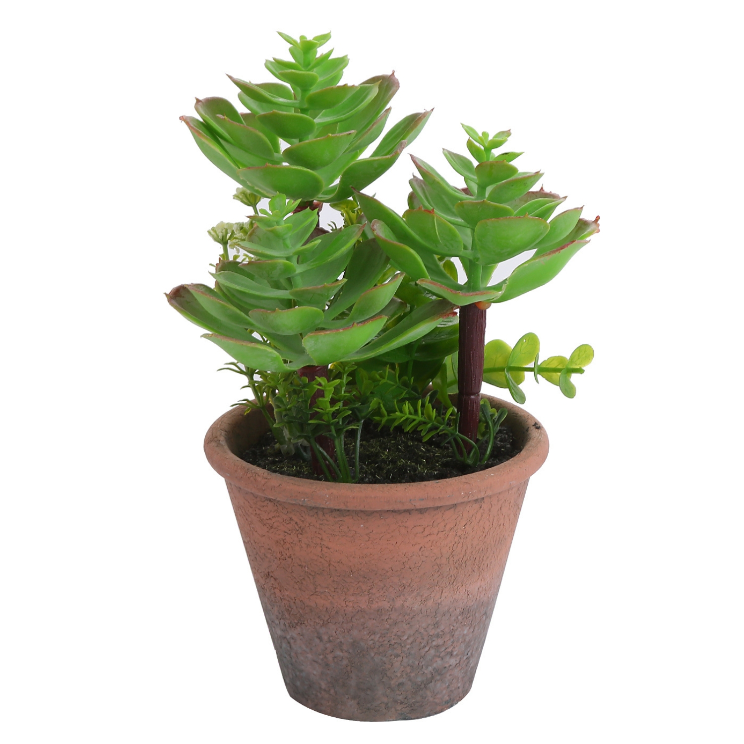 PLANTA ARTIFICIAL SUCULENTA 20 CM - 2