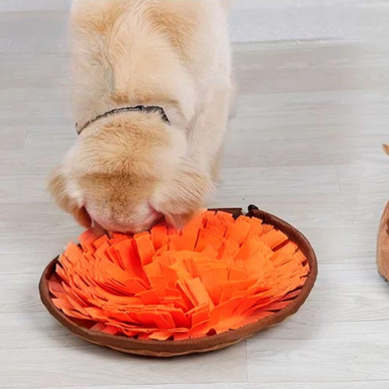 ALFOMBRA OLFATIVA PERROS ENTRENAMIENTO PARA PERROS ANTI ESTRÉS IMPORTADORA USA - 6