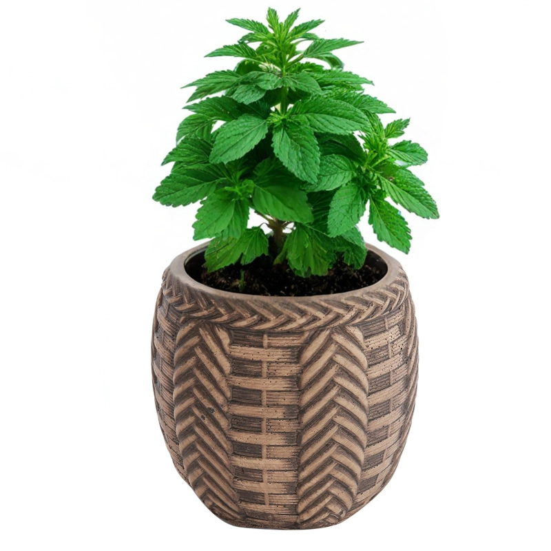 MACETA TRENZADA DE CEMENTO CAFE  10 CM - 2
