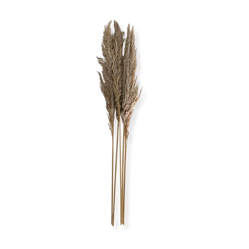 RAMO LUMINOSA NATURAL 100 CM - 1