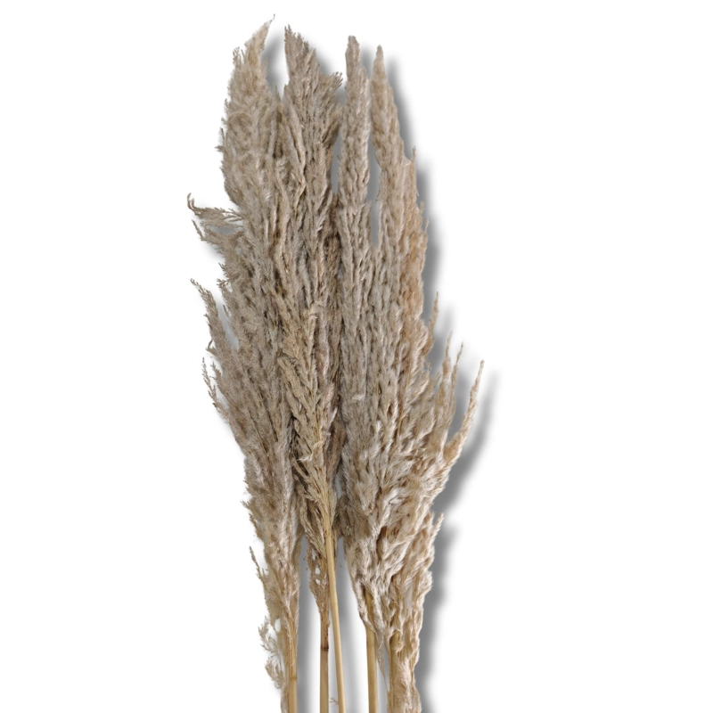 RAMO LUMINOSA NATURAL 100 CM - 2