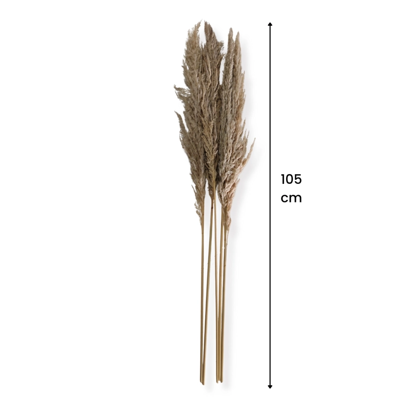RAMO LUMINOSA NATURAL 100 CM - 6