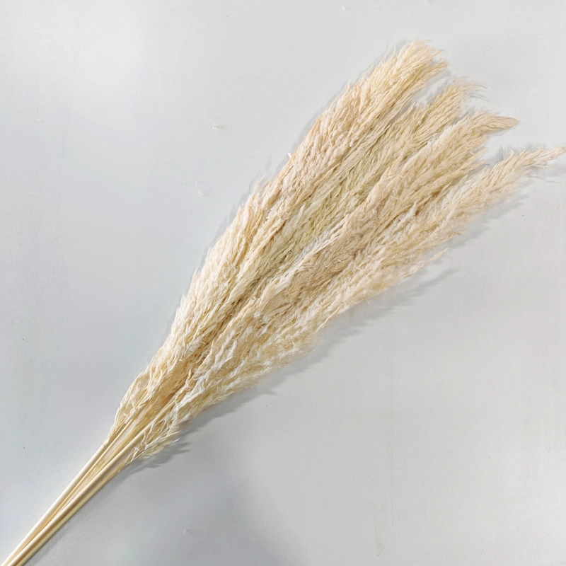 RAMO LUMINOSA BLEACH 100 CM - 2