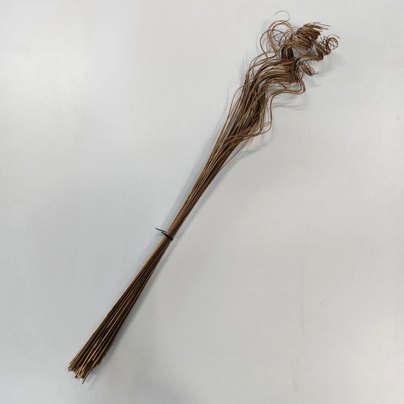 RAMO CURLY TING TING NATURAL 70 CM - 1