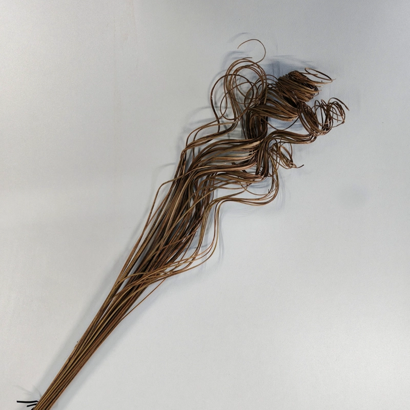 RAMO CURLY TING TING NATURAL 70 CM - 2