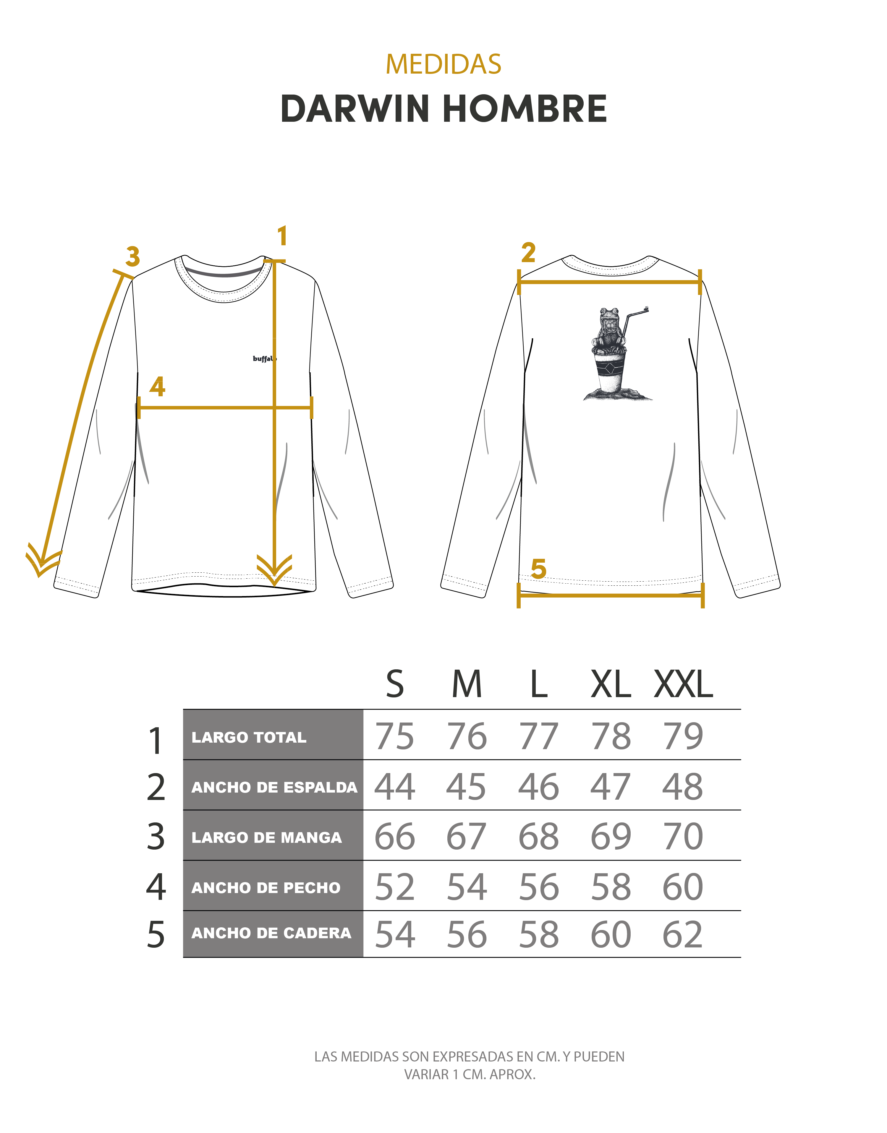 POLERA DARWIN BURDEO HOMBRE - 4