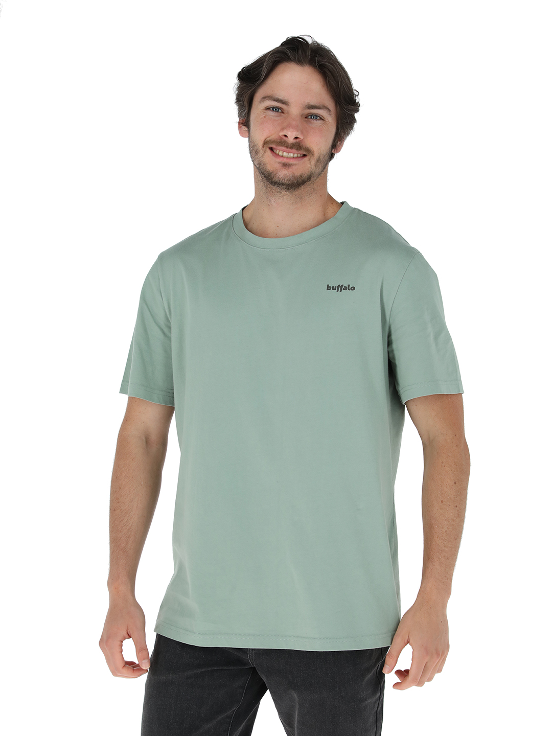 POLERA MANGA CORTA API VERDE HOMBRE - 1