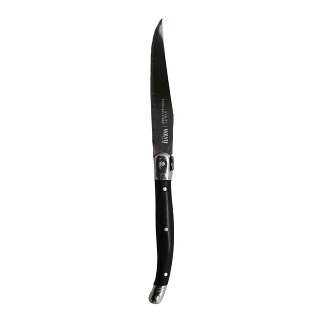 SET 4 CUCHILLOS BLACK MESA WAYU LIMITED DURABILIDAD Y ELEGANCIA - 3