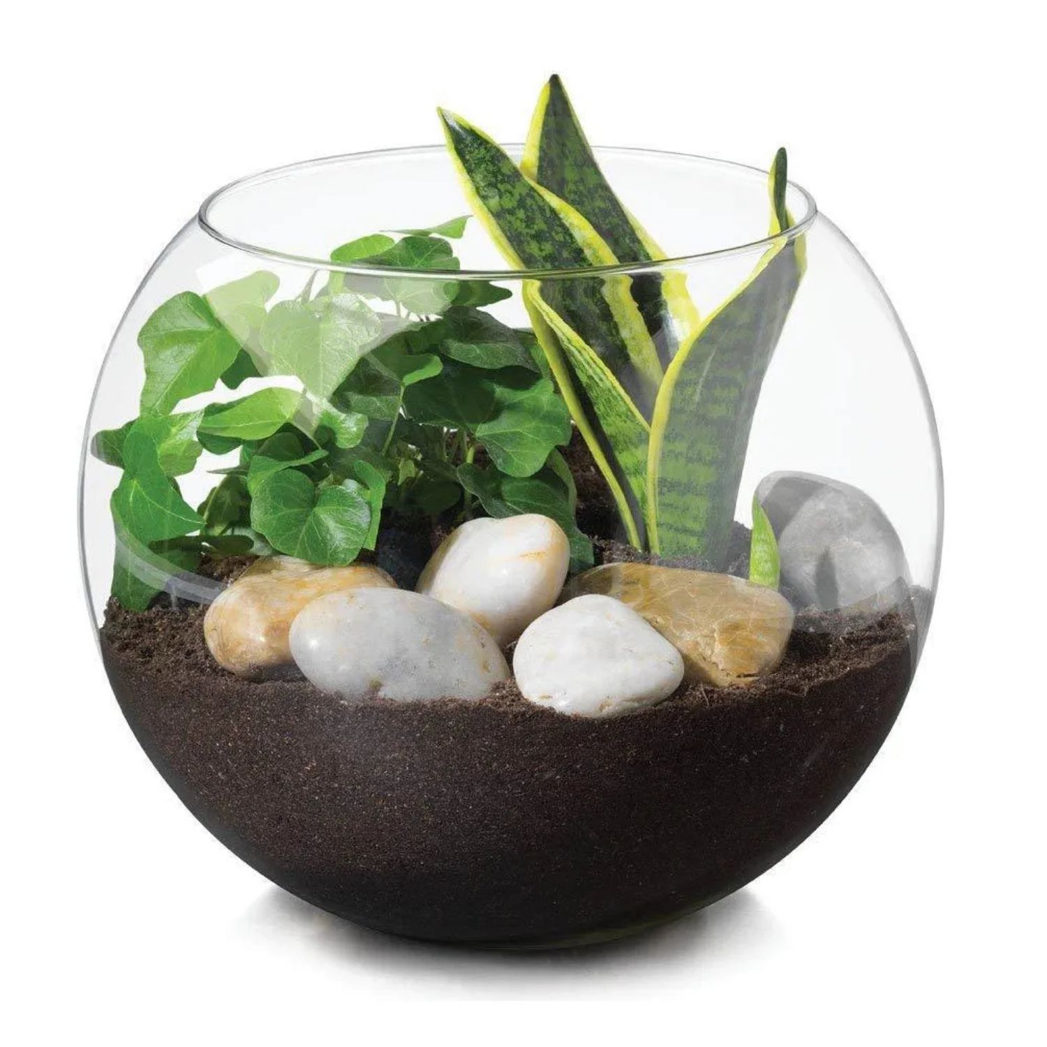 FLORERO ACUARIO 15CM VIDRIO CENTRO MESA DECORACION ALLEGRA - 2