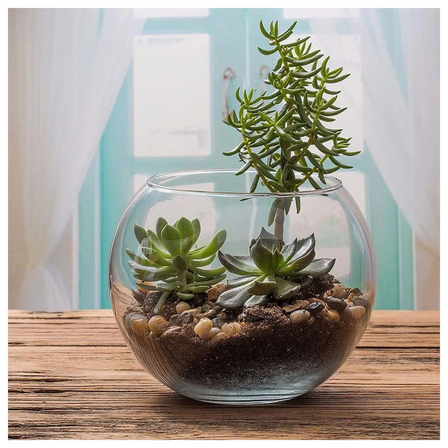 FLORERO ACUARIO 15CM VIDRIO CENTRO MESA DECORACION ALLEGRA - 3